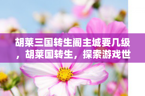 胡莱三国转生阁主城要几级,胡莱国转生,探索游戏世界的无限可能 胡莱三国转生阁主城要几级,胡莱国转生,探索游戏世界的无限可能