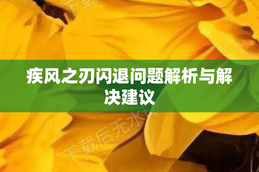 疾风之刃闪退问题解析与解决建议 疾风之刃闪退问题解析与解决建议