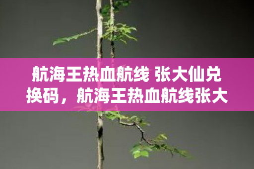 航海王热血航线 张大仙兑换码，航海王热血航线张大仙兑换码