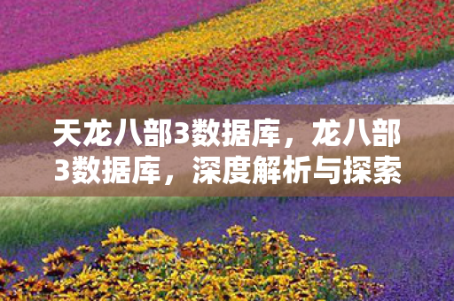天龙八部3数据库,龙八部3数据库,深度解析与探索 天龙八部3数据库,龙八部3数据库,深度解析与探索