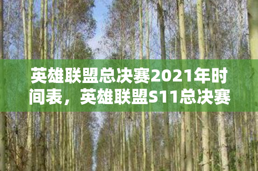 英雄联盟总决赛2021年时间表,英雄联盟S11总决赛,荣耀与梦想的终极对决 英雄联盟总决赛2021年时间表,英雄联盟S11总决赛,荣耀与梦想的终极对决