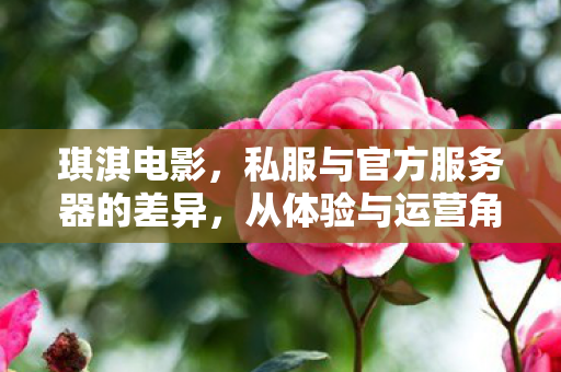 琪淇电影，私服与官方服务器的差异，从体验与运营角度的探讨