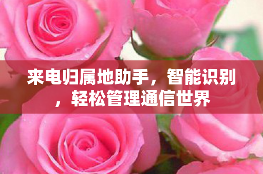 来电归属地助手，智能识别，轻松管理通信世界