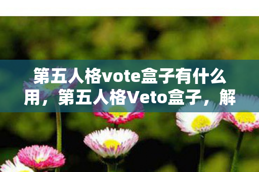 第五人格vote盒子有什么用,第五人格Veto盒子,解锁游戏新体验 第五人格vote盒子有什么用,第五人格Veto盒子,解锁游戏新体验