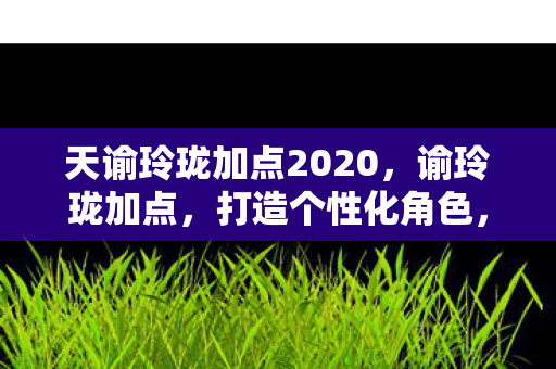 天谕玲珑加点2020,谕玲珑加点,打造个性化角色,提升游戏体验 天谕玲珑加点2020,谕玲珑加点,打造个性化角色,提升游戏体验