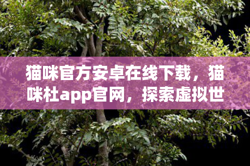 猫咪官方安卓在线下载，猫咪杜app官网，探索虚拟世界的奇妙之旅