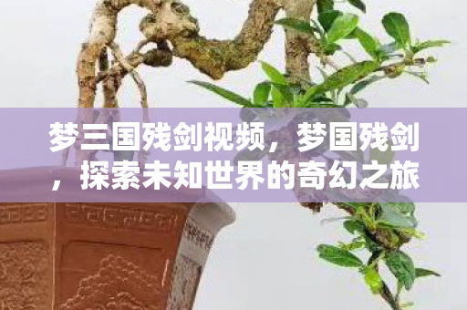 梦三国残剑视频,梦国残剑,探索未知世界的奇幻之旅 梦三国残剑视频,梦国残剑,探索未知世界的奇幻之旅