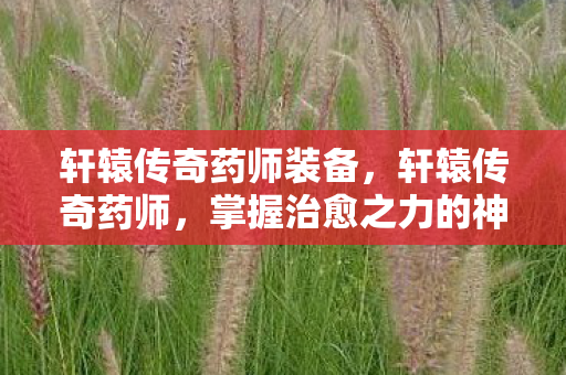 轩辕传奇药师装备,轩辕传奇药师,掌握治愈之力的神秘职业 轩辕传奇药师装备,轩辕传奇药师,掌握治愈之力的神秘职业