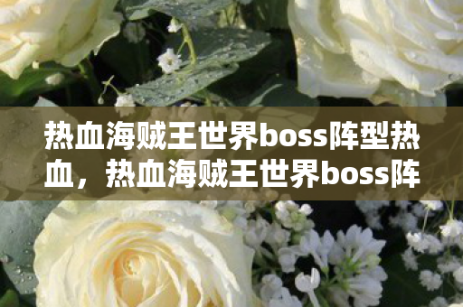 热血海贼王世界boss阵型热血，热血海贼王世界boss阵型解析，探索无尽海域的力量