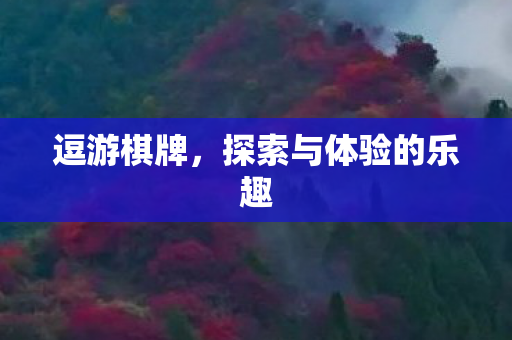 逗游棋牌,探索与体验的乐趣 逗游棋牌,探索与体验的乐趣