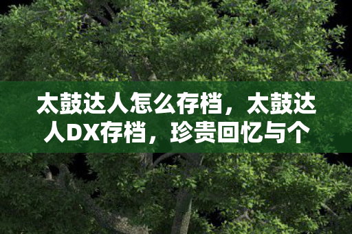 太鼓达人怎么存档,太鼓达人DX存档,珍贵回忆与个性化体验 太鼓达人怎么存档,太鼓达人DX存档,珍贵回忆与个性化体验