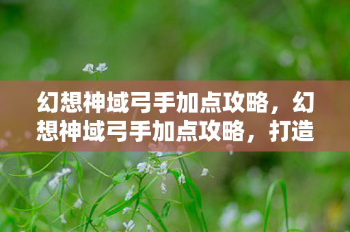 幻想神域弓手加点攻略,幻想神域弓手加点攻略,打造最强输出角色 幻想神域弓手加点攻略,幻想神域弓手加点攻略,打造最强输出角色