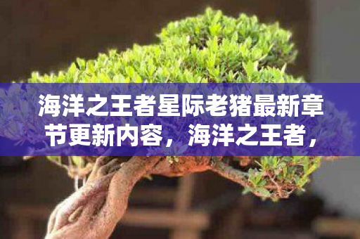 海洋之王者星际老猪最新章节更新内容,海洋之王者,探索海洋生态的守护者 海洋之王者星际老猪最新章节更新内容,海洋之王者,探索海洋生态的守护者