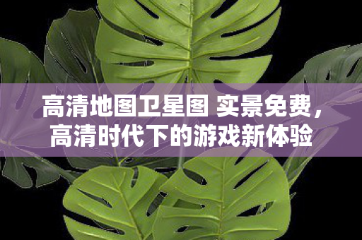高清地图卫星图 实景免费,高清时代下的游戏新体验 高清地图卫星图 实景免费,高清时代下的游戏新体验