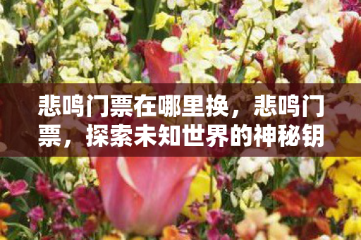 悲鸣门票在哪里换,悲鸣门票,探索未知世界的神秘钥匙 悲鸣门票在哪里换,悲鸣门票,探索未知世界的神秘钥匙