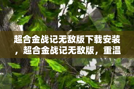 超合金战记无敌版下载安装,超合金战记无敌版,重温经典,畅享无限战斗 超合金战记无敌版下载安装,超合金战记无敌版,重温经典,畅享无限战斗