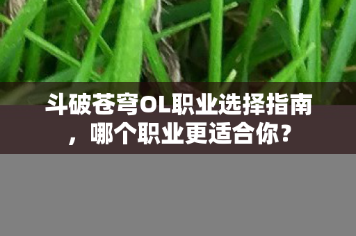斗破苍穹OL职业选择指南，哪个职业更适合你？