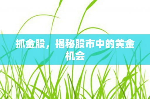 抓金股,揭秘股市中的黄金机会 抓金股,揭秘股市中的黄金机会