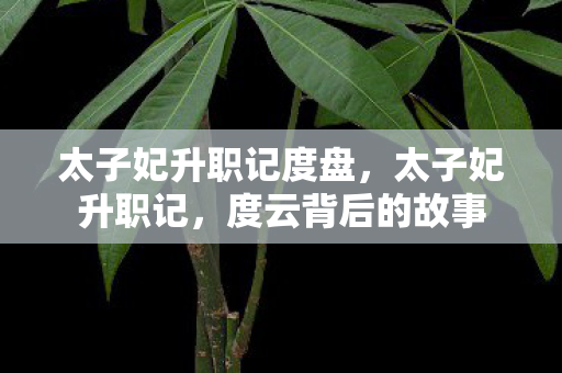 太子妃升职记度盘,太子妃升职记,度云背后的故事 太子妃升职记度盘,太子妃升职记,度云背后的故事