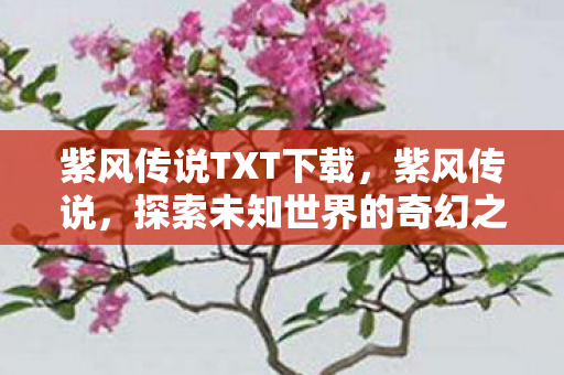 紫风传说TXT下载,紫风传说,探索未知世界的奇幻之旅 紫风传说TXT下载,紫风传说,探索未知世界的奇幻之旅