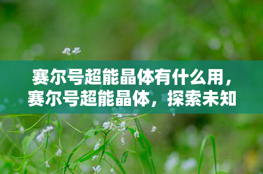 赛尔号超能晶体有什么用,赛尔号超能晶体,探索未知世界的神秘力量 赛尔号超能晶体有什么用,赛尔号超能晶体,探索未知世界的神秘力量