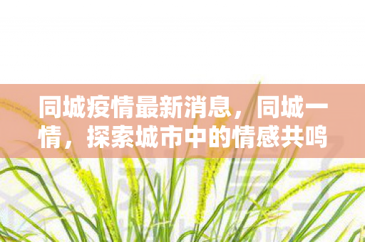 同城疫情最新消息,同城一情,探索城市中的情感共鸣与社交新机遇 同城疫情最新消息,同城一情,探索城市中的情感共鸣与社交新机遇