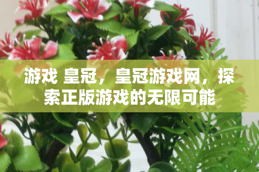 游戏 皇冠，皇冠游戏网，探索正版游戏的无限可能