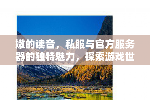 嫩的读音,私服与官方服务器的独特魅力,探索游戏世界的不同维度 嫩的读音,私服与官方服务器的独特魅力,探索游戏世界的不同维度