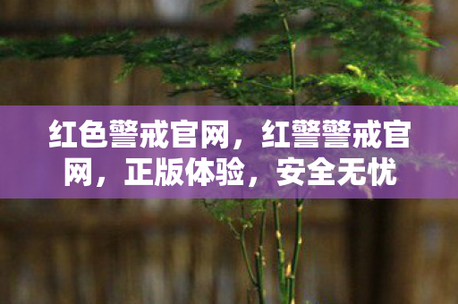 红色警戒官网,红警警戒官网,正版体验,安全无忧 红色警戒官网,红警警戒官网,正版体验,安全无忧