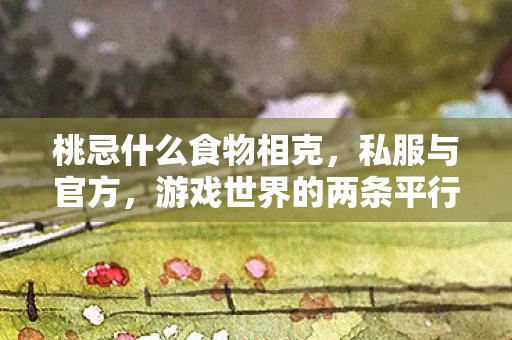 桃忌什么食物相克,私服与官方,游戏世界的两条平行线 桃忌什么食物相克,私服与官方,游戏世界的两条平行线