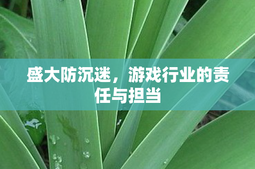 盛大防沉迷,游戏行业的责任与担当 盛大防沉迷,游戏行业的责任与担当
