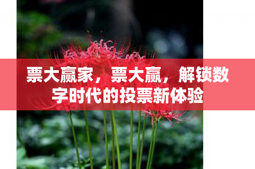 票大赢家，票大赢，解锁数字时代的投票新体验