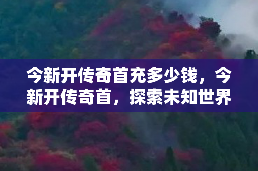 今新开传奇首充多少钱,今新开传奇首,探索未知世界的奇妙之旅 今新开传奇首充多少钱,今新开传奇首,探索未知世界的奇妙之旅