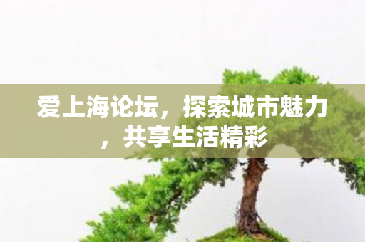 爱上海论坛,探索城市魅力,共享生活精彩 爱上海论坛,探索城市魅力,共享生活精彩