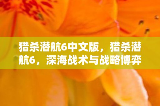 猎杀潜航6中文版,猎杀潜航6,深海战术与战略博弈的深度剖析 猎杀潜航6中文版,猎杀潜航6,深海战术与战略博弈的深度剖析