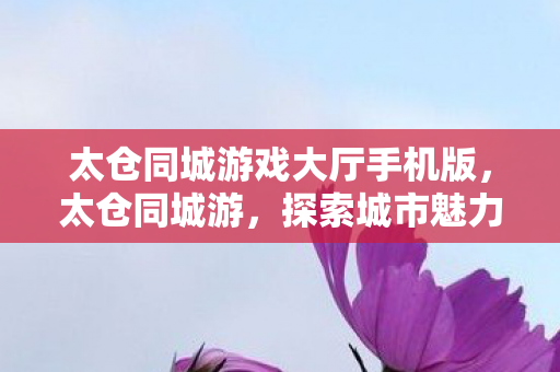 太仓同城游戏大厅手机版,太仓同城游,探索城市魅力,共享生活乐趣 太仓同城游戏大厅手机版,太仓同城游,探索城市魅力,共享生活乐趣