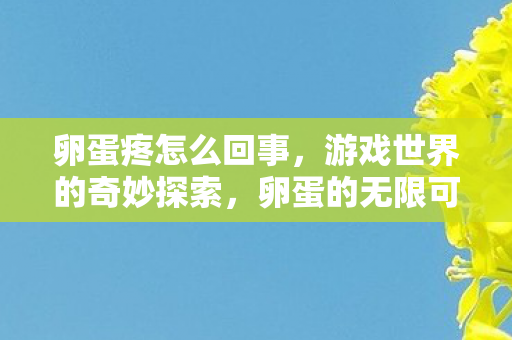卵蛋疼怎么回事，游戏世界的奇妙探索，卵蛋的无限可能