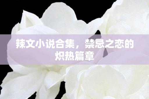 辣文小说合集，禁忌之恋的炽热篇章