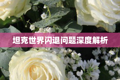 坦克世界闪退问题深度解析 坦克世界闪退问题深度解析