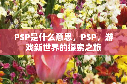 PSP是什么意思,PSP,游戏新世界的探索之旅 PSP是什么意思,PSP,游戏新世界的探索之旅