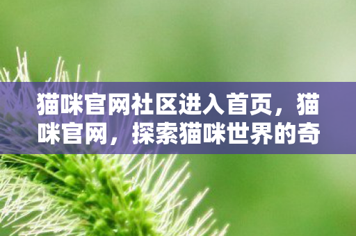 猫咪官网社区进入首页,猫咪官网,探索猫咪世界的奇妙之旅 猫咪官网社区进入首页,猫咪官网,探索猫咪世界的奇妙之旅