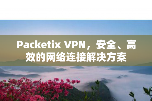 Packetix VPN,安全、高效的网络连接解决方案 Packetix VPN,安全、高效的网络连接解决方案