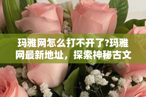 玛雅网怎么打不开了?玛雅网最新地址,探索神秘古文明的数字门户 玛雅网怎么打不开了?玛雅网最新地址,探索神秘古文明的数字门户