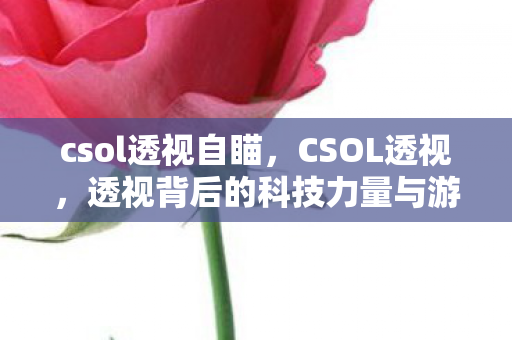 csol透视自瞄,CSOL透视,透视背后的科技力量与游戏平衡 csol透视自瞄,CSOL透视,透视背后的科技力量与游戏平衡