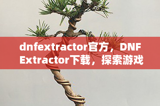 dnfextractor官方,DNF Extractor下载,探索游戏数据提取的奥秘 dnfextractor官方,DNF Extractor下载,探索游戏数据提取的奥秘