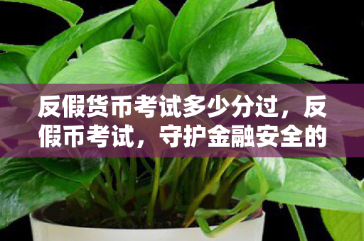 反假货币考试多少分过,反假币考试,守护金融安全的防线 反假货币考试多少分过,反假币考试,守护金融安全的防线