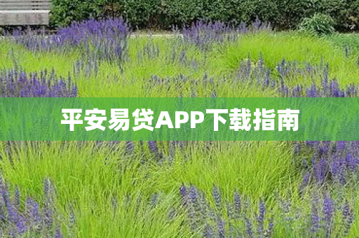 平安易贷APP下载指南