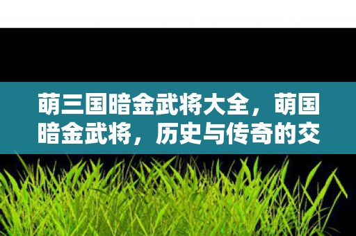 萌三国暗金武将大全,萌国暗金武将,历史与传奇的交织 萌三国暗金武将大全,萌国暗金武将,历史与传奇的交织