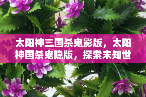 太阳神三国杀鬼影版,太阳神国杀鬼隐版,探索未知世界的奇幻之旅 太阳神三国杀鬼影版,太阳神国杀鬼隐版,探索未知世界的奇幻之旅
