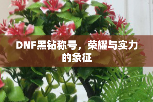 DNF黑钻称号,荣耀与实力的象征 DNF黑钻称号,荣耀与实力的象征